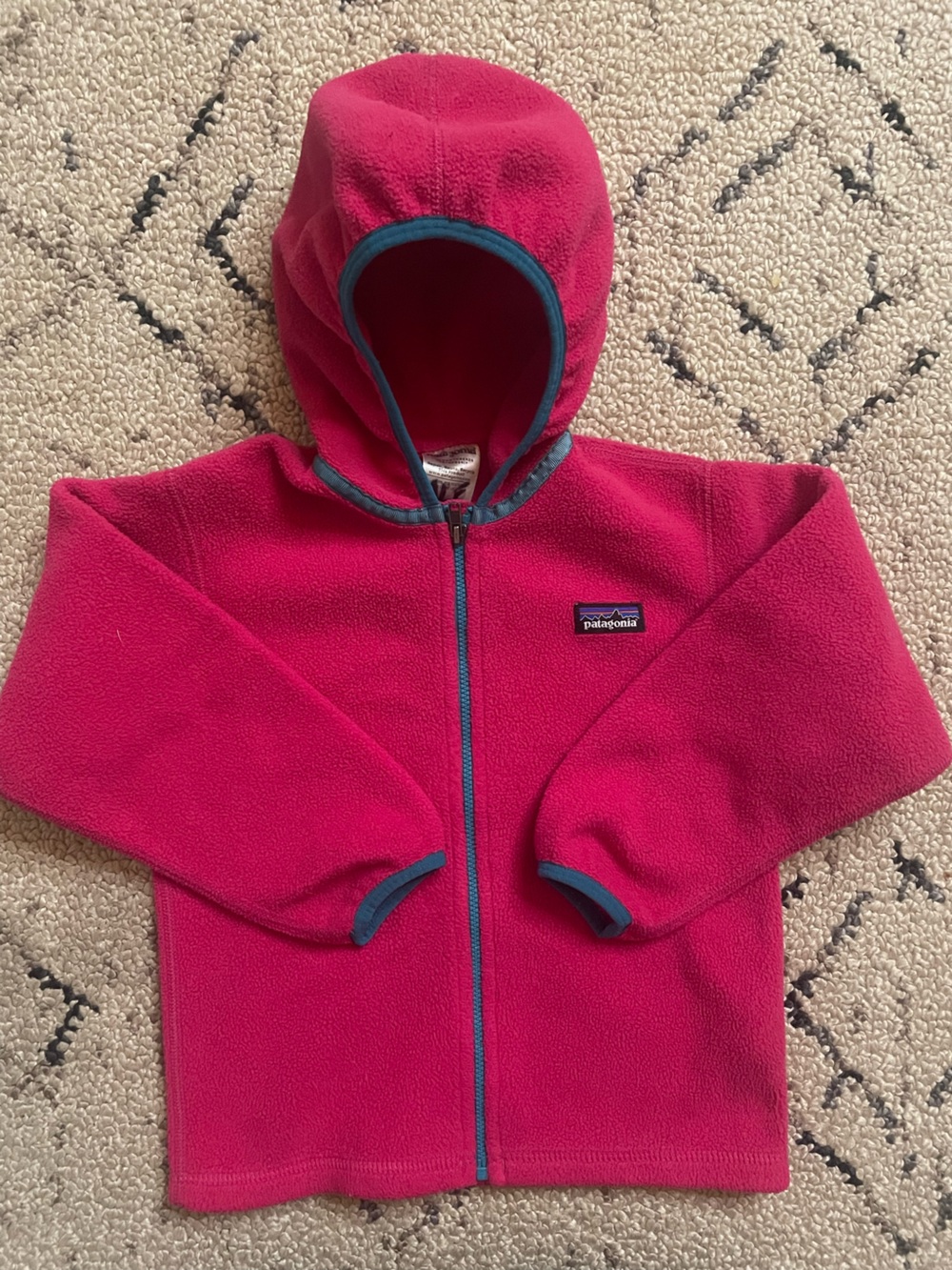 Patagonia Kids Fleece Jacket (4T) EUC